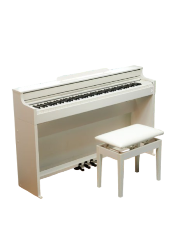 Casio AP-S450WE