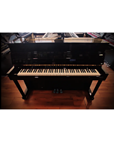 Pearl River EU 110 Noir