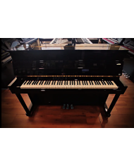 Pearl River EU 110 Noir