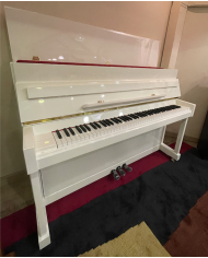 Pearl River EU 110 Blanc