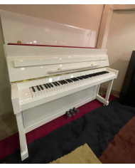 Pearl River EU 110 Blanc