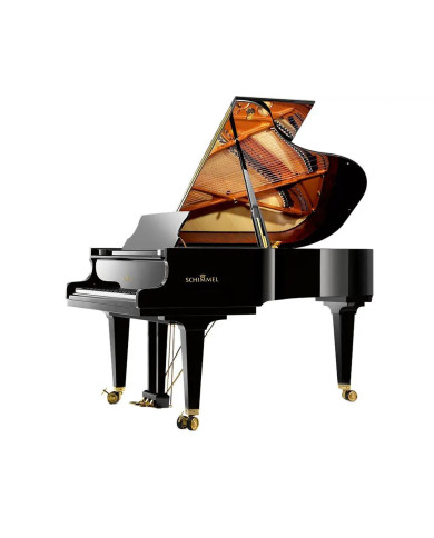 Schimmel K 195 Tradition