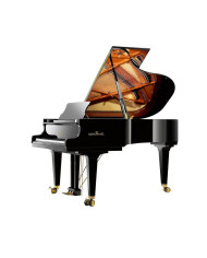 Schimmel K 195 Tradition
