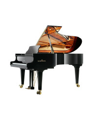 Schimmel K 219 Tradition