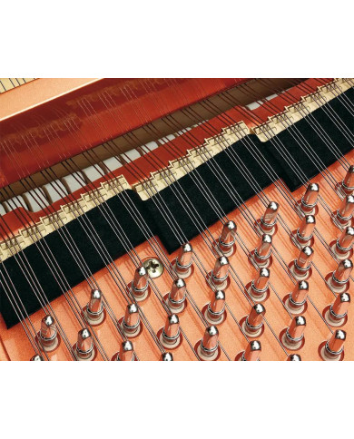 Schimmel K 230 Tradition