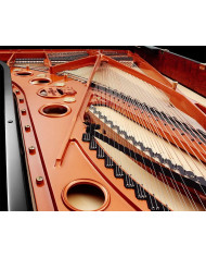 Schimmel K 230 Tradition