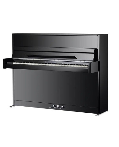 SCHIMMEL W114 Modern