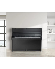 WILHELM W114-Modern Super Mat