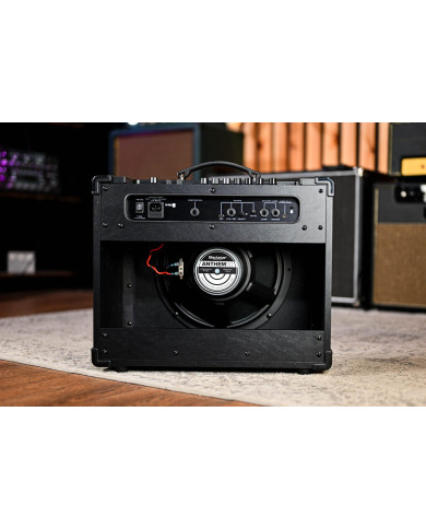 Blackstar IDX:50 - Guitare classique électro