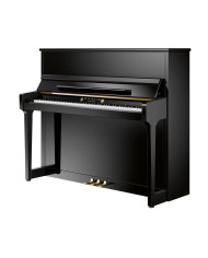 Wilhelm Schimmel - Piano droit W123T