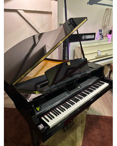 YAMAHA CGP 1000