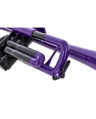 pBone music pTrumpet Violet