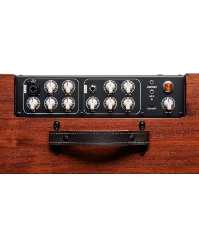 Taylor AMP CIRCA 74 AV150-10