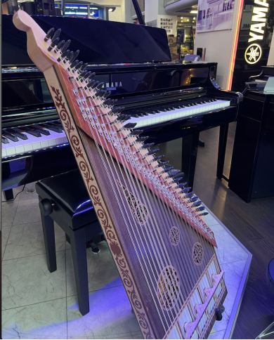 Kanun Acoustique