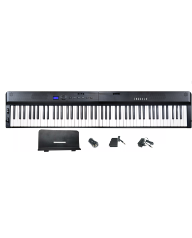 Farfisa FP 100