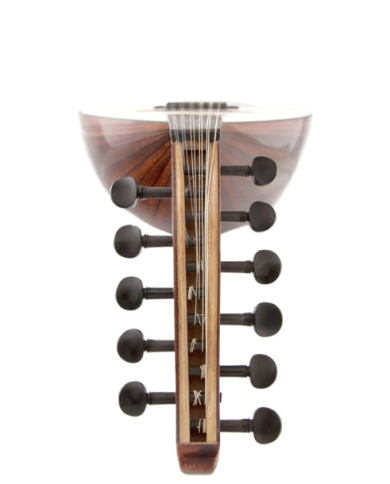 Oud Intermédiaire MST400 Acajou / Noyer