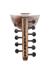 Oud Intermédiaire MST400 Acajou / Noyer