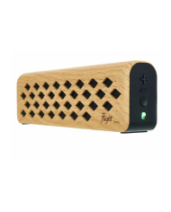 Flight - Tiny 6 ( 2 x 3 Watts ) Maple