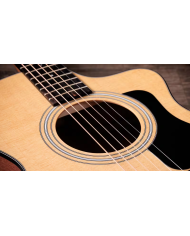 Taylor - 112CE
