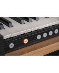 ORGUE JOHANNUS OPUS 350