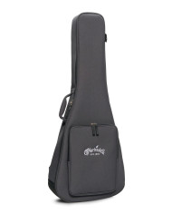 MARTIN D-10E