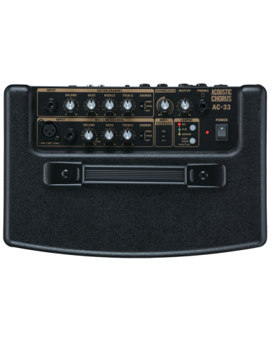 ROLAND AC 33
