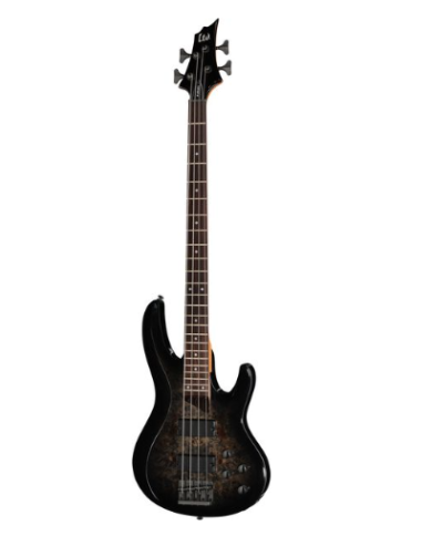 ESP LTD B-204DX Black Burst