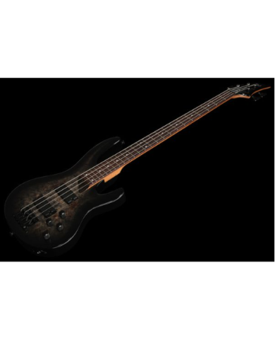 ESP LTD B-204DX Black Burst