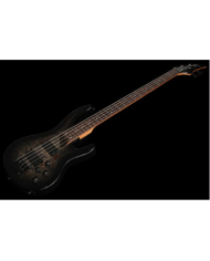 ESP LTD B-204DX Black Burst