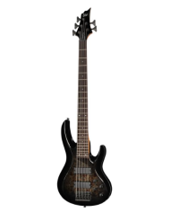 LTD B-205DX BB
