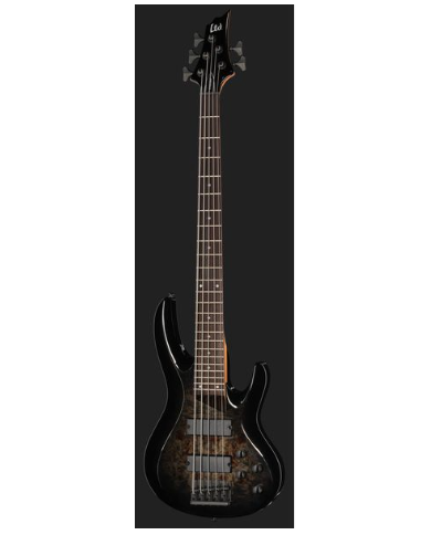 LTD B-205DX BB