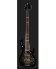 LTD B-205DX BB