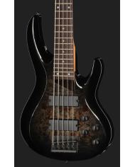 LTD B-205DX BB