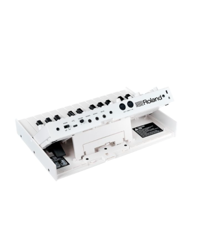 ROLAND N/vision