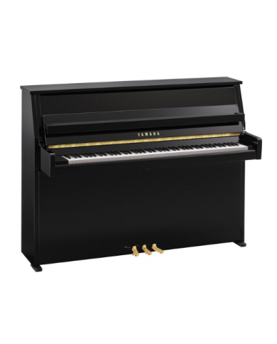 YAMAHA B10 PE