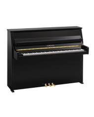 YAMAHA B10 PE