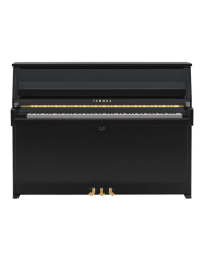 YAMAHA B10 PE