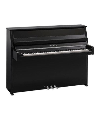 YAMAHA B10 PEC
