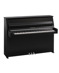 YAMAHA B10 PEC