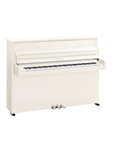 YAMAHA B10 PWHC