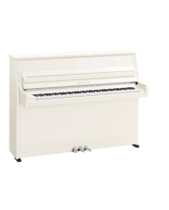 YAMAHA B10 PWHC