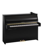 YAMAHA B10 SC3 PE
