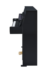 YAMAHA B10 SC3 PE