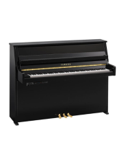 YAMAHA B10 TC3 PE