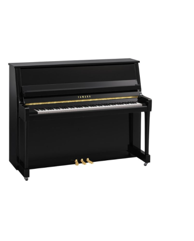 YAMAHA B20 PE