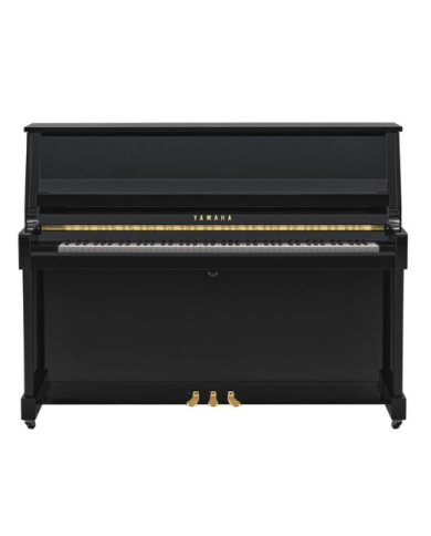 YAMAHA B20 PE