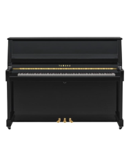 YAMAHA B20 PE