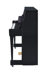 YAMAHA B20 PE