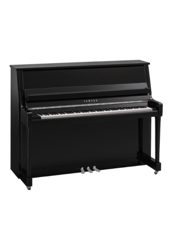 YAMAHA B20 PEC