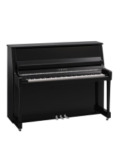 YAMAHA B20 PEC